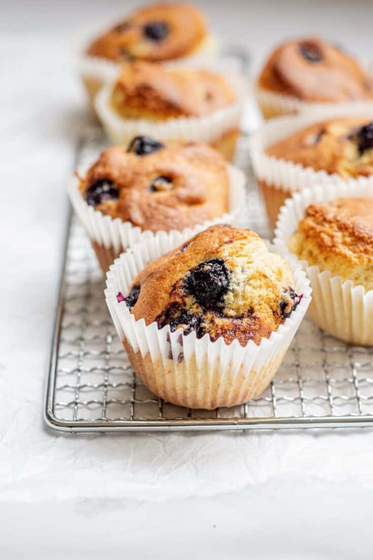 little blueberry muffins.