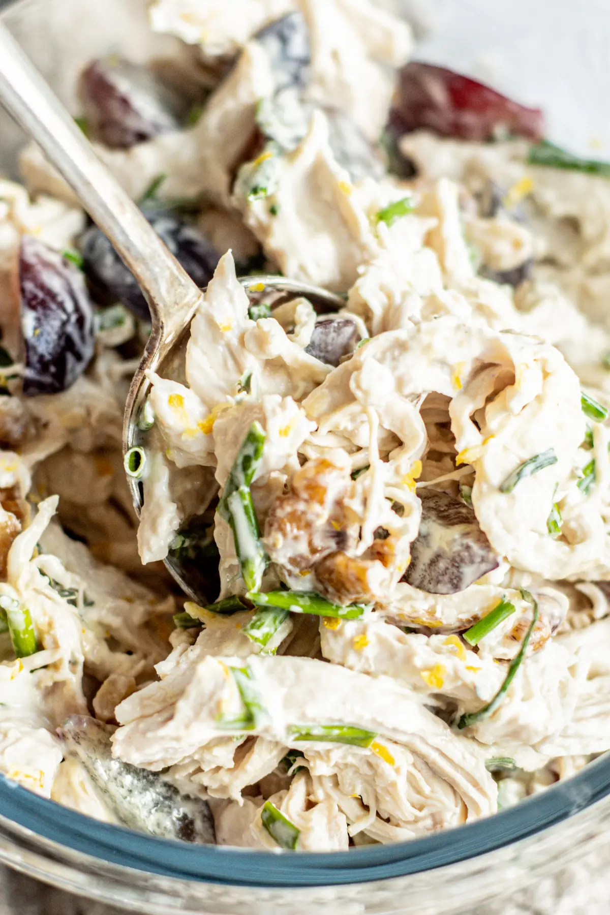spoonful of mayo and chicken salad.